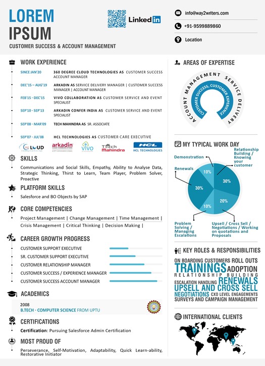 Infographic Resume