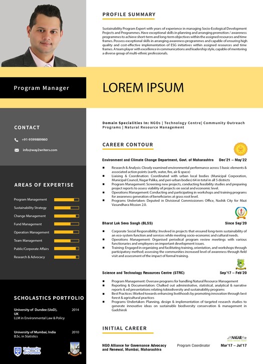 Infographic Resume